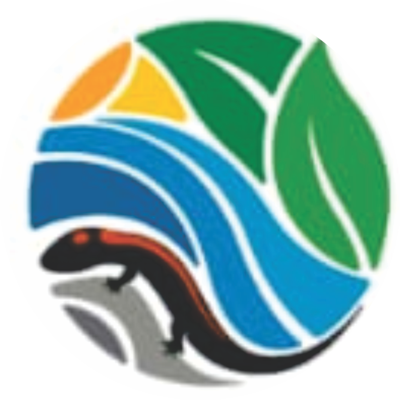 logo parque nacional de uruapan web